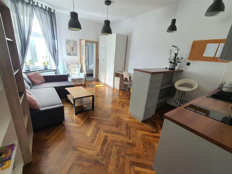 Apartament Przy Szkole Filmowej, Darmowy Parking Lodz  Ngoại thất bức ảnh