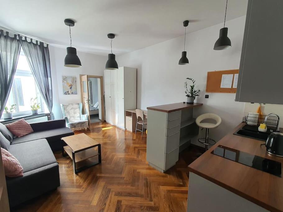 Apartament Przy Szkole Filmowej, Darmowy Parking Lodz  Ngoại thất bức ảnh